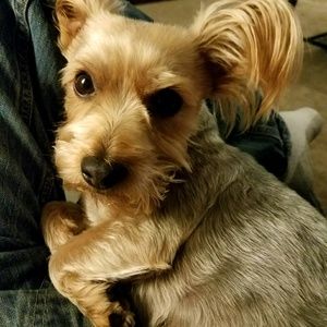 Meet your Posher, Michael